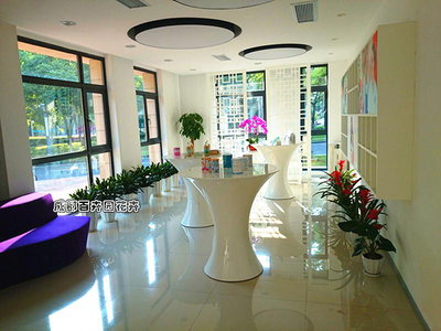 植物租赁 花卉绿植的租借与代管理服务