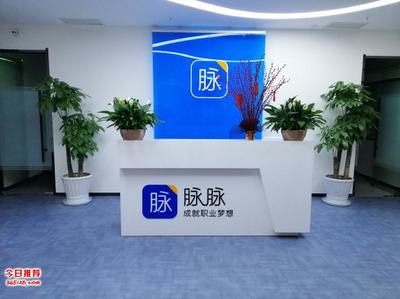 天津花卉租摆与绿植销售 专业服务打造绿色办公与生活空间