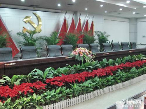 广州植物短租与花卉绿植租借服务 一站式解决展览、会议与活动用花需求