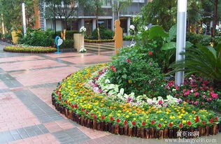 深圳花卉绿植租摆与花艺服务全攻略 省心省力，装点生活与办公空间