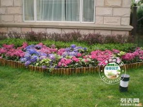 上海植物租摆服务 长宁、闵行、普陀区域的专业花卉绿植租赁指南