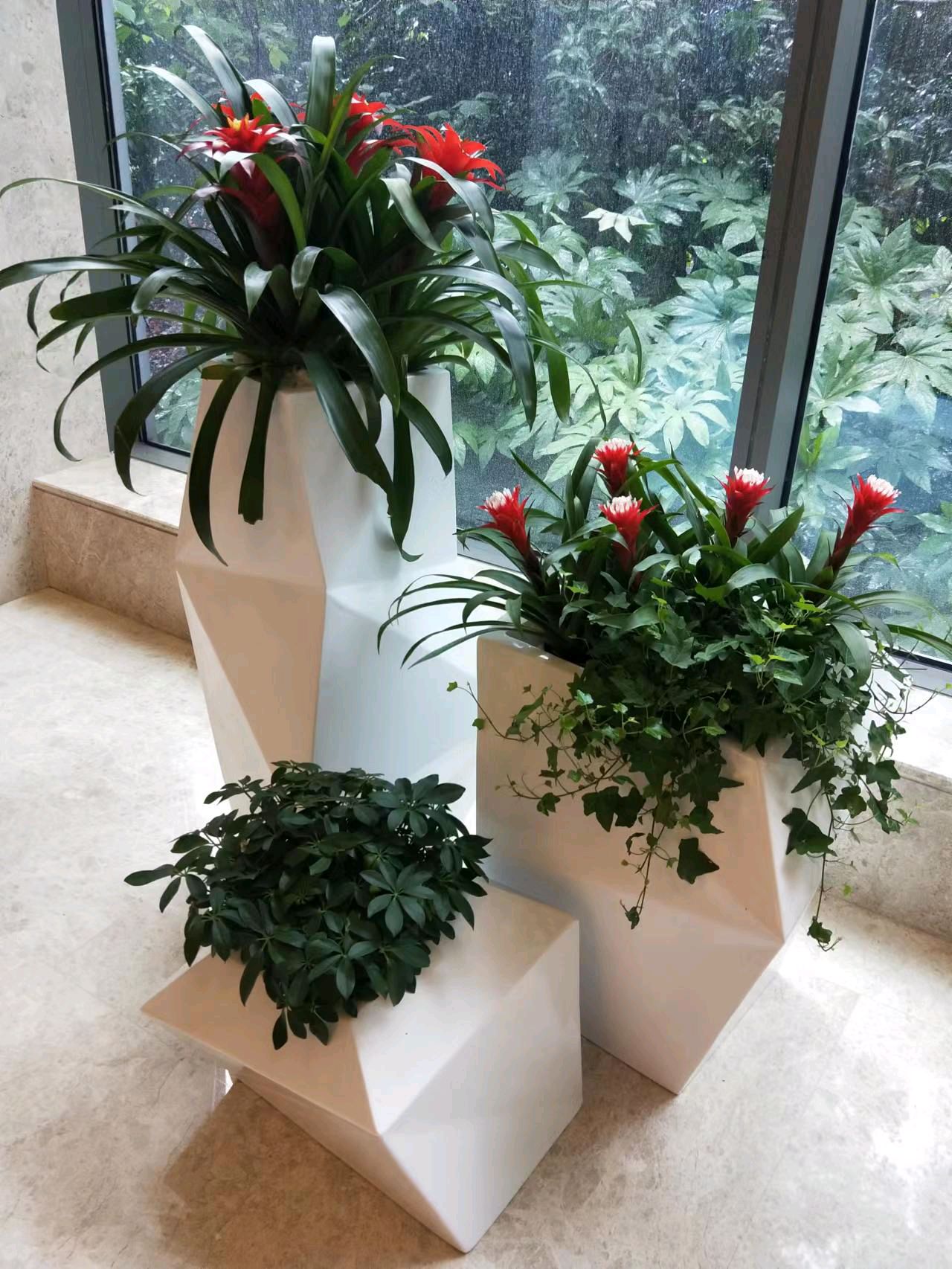 绿色生活，从专业租赁开始 一站式花卉绿植服务，打造诗意空间